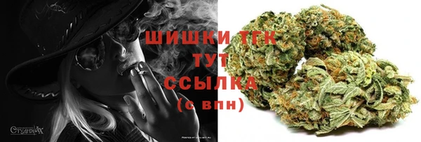 ГАЛЛЮЦИНОГЕННЫЕ ГРИБЫ Надым