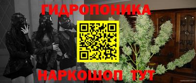 гашишное масло Гатчина