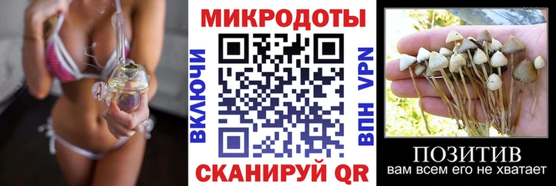 Псилоцибиновые грибы GOLDEN TEACHER  Партизанск 