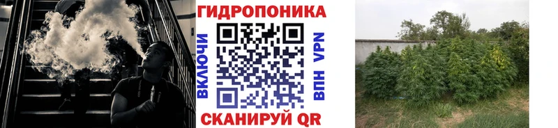 ОМГ ОМГ зеркало  Партизанск  Бошки марихуана SATIVA & INDICA 